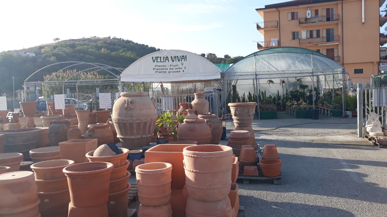 Velia Vivai - Vivaio Agropoli